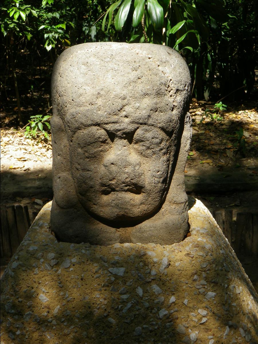 Olmeca culture museum49